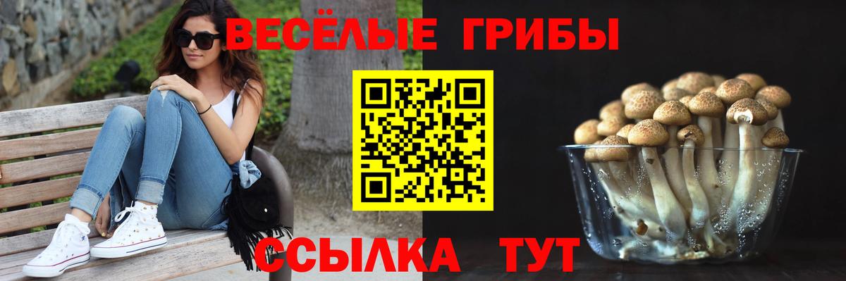 Псилоцибиновые грибы Cubensis  Псилоцибиновые грибы Cubensis  Подольск  Вход с VPN 